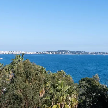 With Terrace Pool & Access